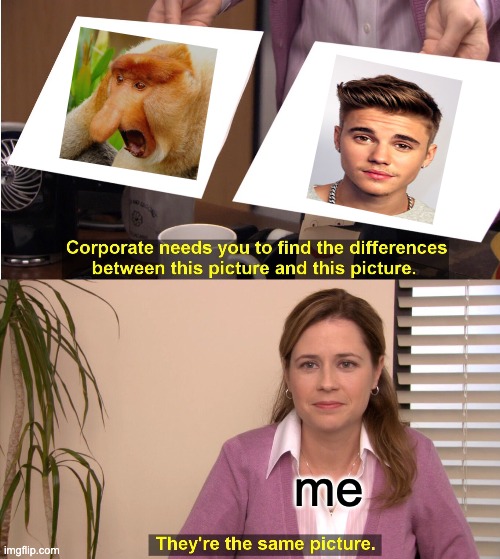 justin ugly | me | image tagged in memes,they're the same picture | made w/ Imgflip meme maker