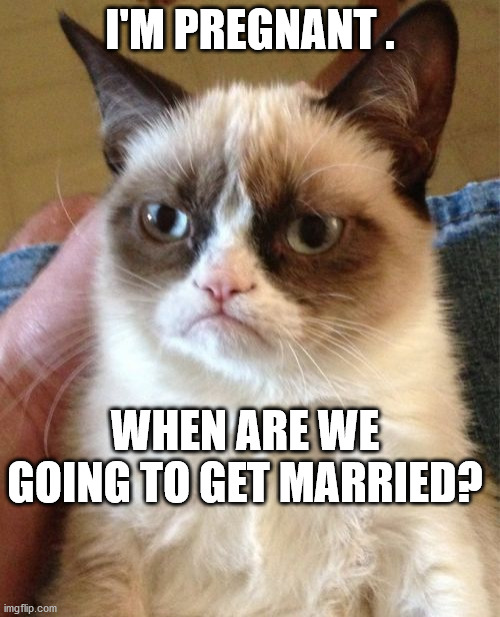 Grumpy Cat Meme | I'M PREGNANT . WHEN ARE WE GOING TO GET MARRIED? | image tagged in memes,grumpy cat | made w/ Imgflip meme maker
