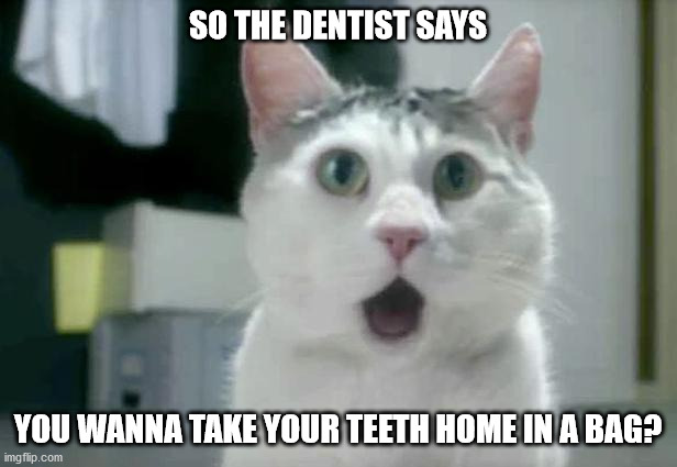 OMG Cat Meme | SO THE DENTIST SAYS; YOU WANNA TAKE YOUR TEETH HOME IN A BAG? | image tagged in memes,omg cat | made w/ Imgflip meme maker