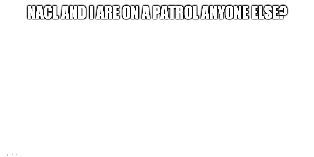 Patrol imageflip | NACL AND I ARE ON A PATROL ANYONE ELSE? | image tagged in patrol | made w/ Imgflip meme maker