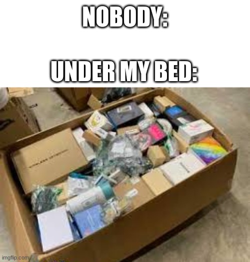 under my bed | NOBODY:; UNDER MY BED: | image tagged in bed,stuff,nobody | made w/ Imgflip meme maker