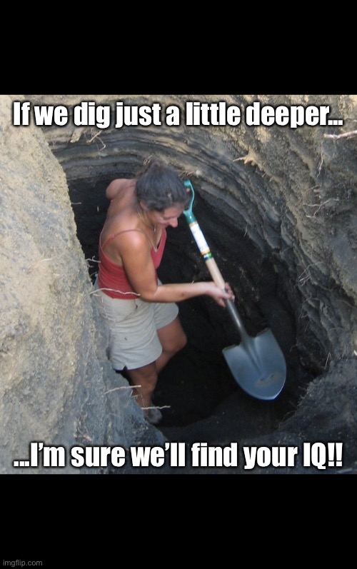 Super Low IQ | If we dig just a little deeper... ...I’m sure we’ll find your IQ!! | image tagged in dumbass | made w/ Imgflip meme maker