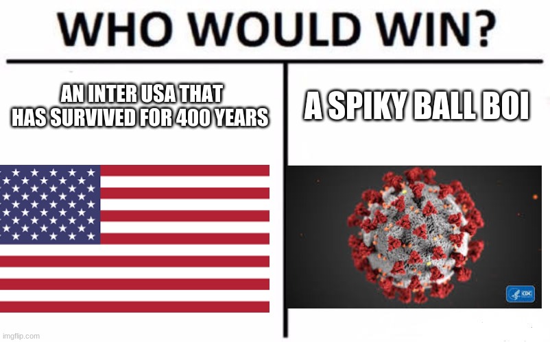 Who Would Win? Meme | AN INTER USA THAT HAS SURVIVED FOR 400 YEARS; A SPIKY BALL BOI | image tagged in memes,who would win | made w/ Imgflip meme maker