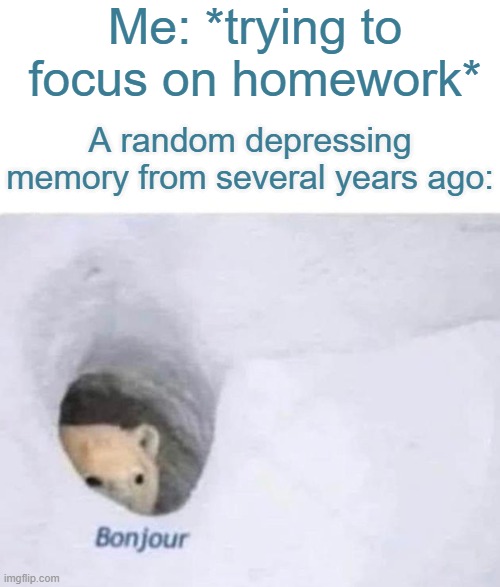Bonjour | Me: *trying to focus on homework*; A random depressing memory from several years ago: | image tagged in bonjour,school,trelatable | made w/ Imgflip meme maker