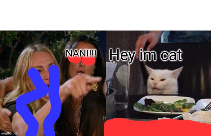 Cat | Hey im cat; NANI!!! | image tagged in memes,woman yelling at cat | made w/ Imgflip meme maker