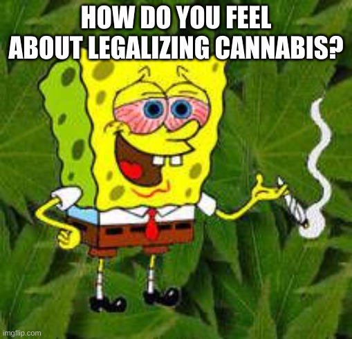 I think it's fine. | HOW DO YOU FEEL ABOUT LEGALIZING CANNABIS? | image tagged in weed | made w/ Imgflip meme maker