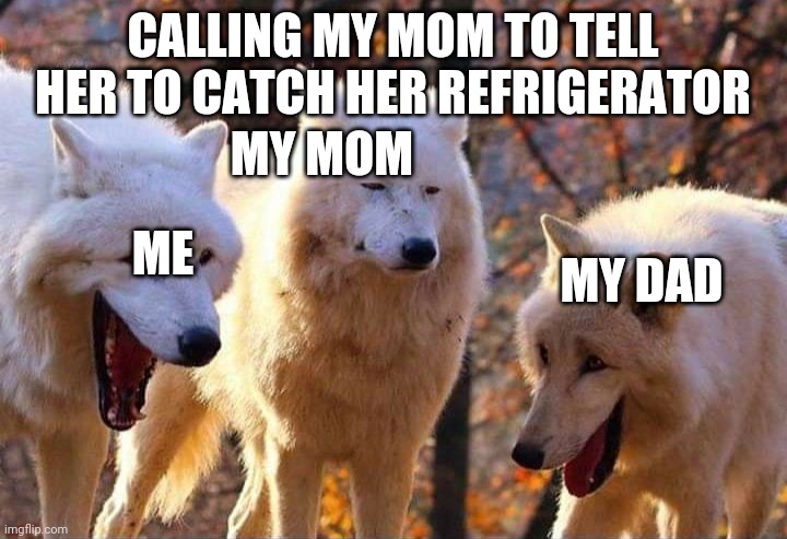 Laughing wolf | CALLING MY MOM TO TELL HER TO CATCH HER REFRIGERATOR; MY MOM; ME; MY DAD | image tagged in laughing wolf | made w/ Imgflip meme maker