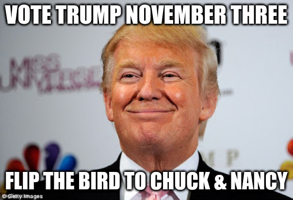 trump three | VOTE TRUMP NOVEMBER THREE; FLIP THE BIRD TO CHUCK & NANCY | image tagged in donald trump approves | made w/ Imgflip meme maker