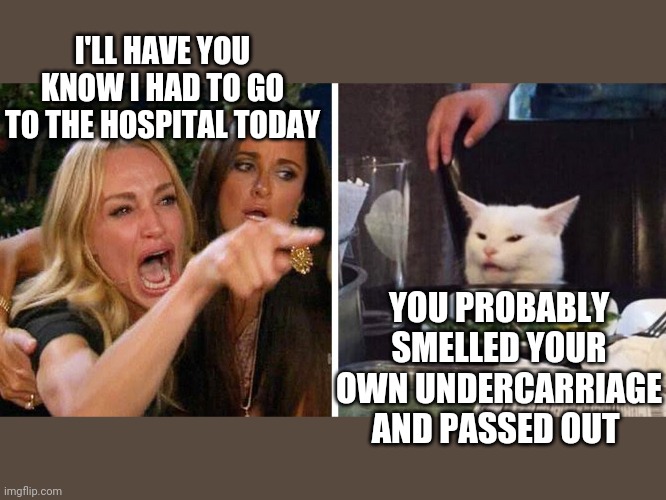 Smudge the cat | I'LL HAVE YOU KNOW I HAD TO GO TO THE HOSPITAL TODAY; YOU PROBABLY SMELLED YOUR OWN UNDERCARRIAGE AND PASSED OUT | image tagged in smudge the cat | made w/ Imgflip meme maker