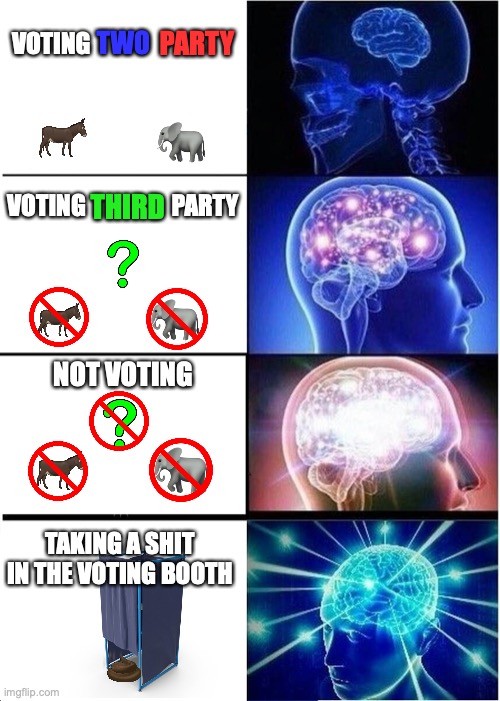 Expanding Brain | VOTING; TWO; PARTY; VOTING                  PARTY; THIRD; NOT VOTING; TAKING A SHIT IN THE VOTING BOOTH | image tagged in memes,expanding brain | made w/ Imgflip meme maker