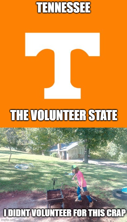 literally me the other day | TENNESSEE; THE VOLUNTEER STATE; I DIDNT VOLUNTEER FOR THIS CRAP | image tagged in tennessee vols,work,not fun | made w/ Imgflip meme maker