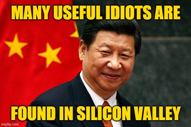Xi Jinping | MANY USEFUL IDIOTS ARE FOUND IN SILICON VALLEY | image tagged in xi jinping | made w/ Imgflip meme maker