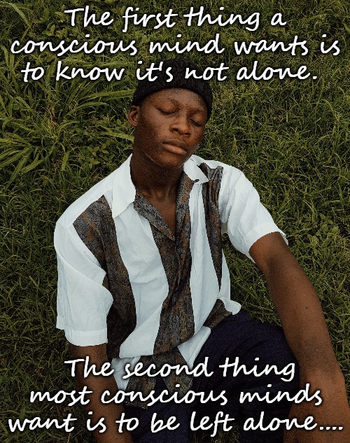 Solitude | The first thing a conscious mind wants is to know it's not alone. The second thing most conscious minds want is to be left alone.... | image tagged in solitude | made w/ Imgflip meme maker