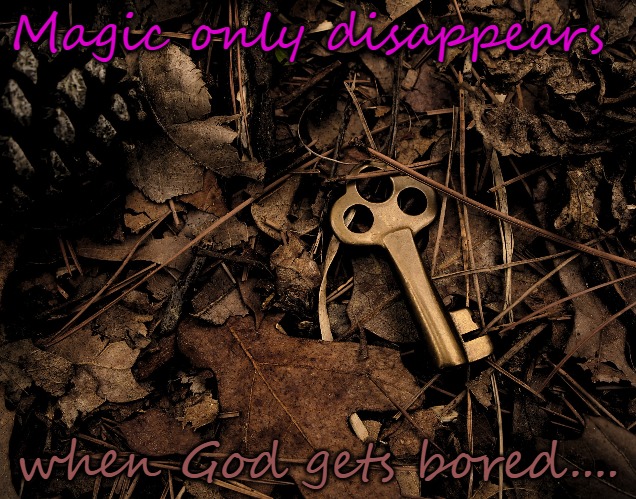 I believe | Magic only disappears; when God gets bored.... | image tagged in magic | made w/ Imgflip meme maker