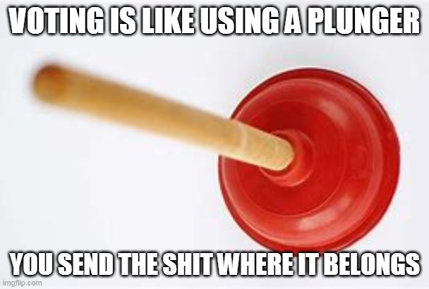 American or Marxist the choice is yours. | VOTING IS LIKE USING A PLUNGER; YOU SEND THE SHIT WHERE IT BELONGS | image tagged in memes,political meme | made w/ Imgflip meme maker