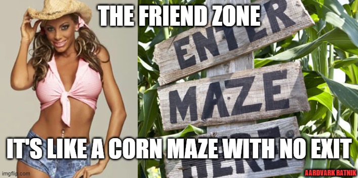 No exit | THE FRIEND ZONE; IT'S LIKE A CORN MAZE WITH NO EXIT; AARDVARK RATNIK | image tagged in funny memes,friend zone,sexy women,corn | made w/ Imgflip meme maker
