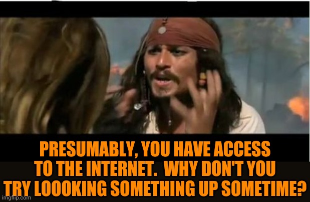 Why Is The Rum Gone Meme | PRESUMABLY, YOU HAVE ACCESS TO THE INTERNET.  WHY DON'T YOU TRY LOOOKING SOMETHING UP SOMETIME? | image tagged in memes,why is the rum gone | made w/ Imgflip meme maker