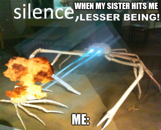 SILENCE LESSER BEING! | WHEN MY SISTER HITS ME; ME: | image tagged in silence lesser being | made w/ Imgflip meme maker