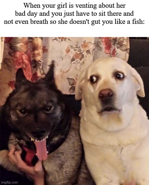 Angry dog scared dog | When your girl is venting about her bad day and you just have to sit there and not even breath so she doesn't gut you like a fish: | image tagged in angry dog scared dog | made w/ Imgflip meme maker
