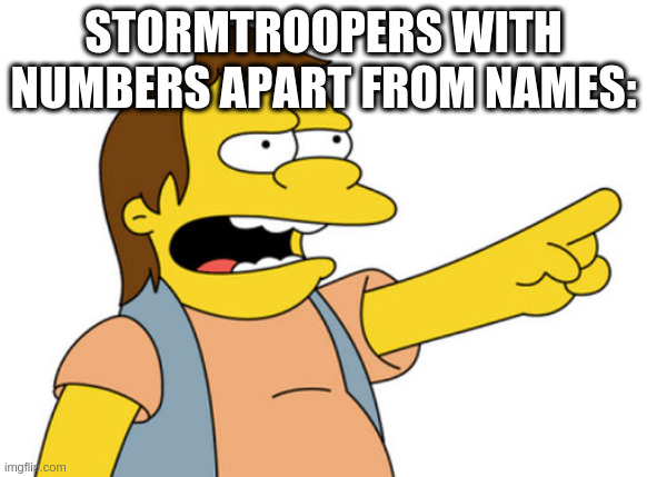 Nelson Muntz haha | STORMTROOPERS WITH NUMBERS APART FROM NAMES: | image tagged in nelson muntz haha | made w/ Imgflip meme maker