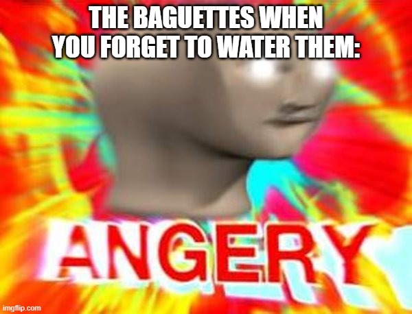 Surreal Angery |  THE BAGUETTES WHEN YOU FORGET TO WATER THEM: | image tagged in surreal angery | made w/ Imgflip meme maker