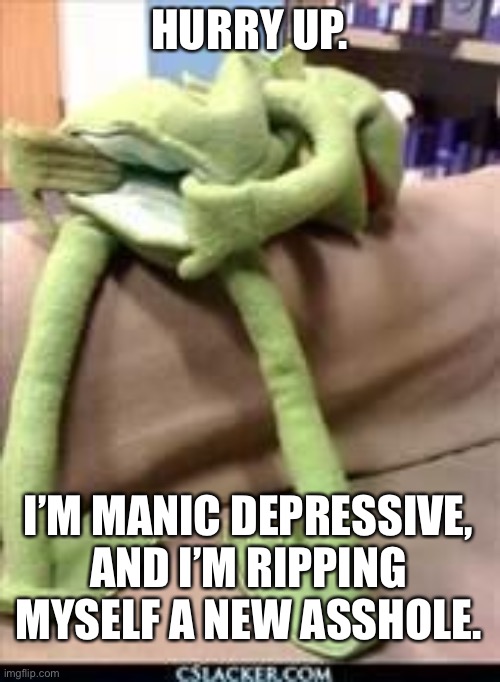 Gay kermit | HURRY UP. I’M MANIC DEPRESSIVE, AND I’M RIPPING MYSELF A NEW ASSHOLE. | image tagged in gay kermit | made w/ Imgflip meme maker