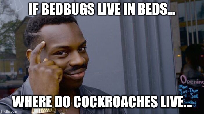 think abt it | IF BEDBUGS LIVE IN BEDS... WHERE DO COCKROACHES LIVE... | image tagged in memes,roll safe think about it | made w/ Imgflip meme maker