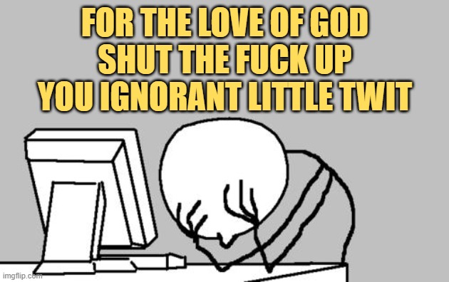 Computer Guy Facepalm Meme | FOR THE LOVE OF GOD
SHUT THE FUCK UP
YOU IGNORANT LITTLE TWIT | image tagged in memes,computer guy facepalm | made w/ Imgflip meme maker