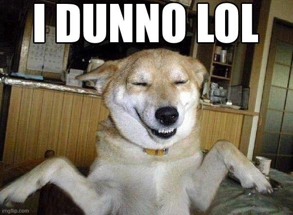 I DUNNO LOL | image tagged in i dunno lol | made w/ Imgflip meme maker