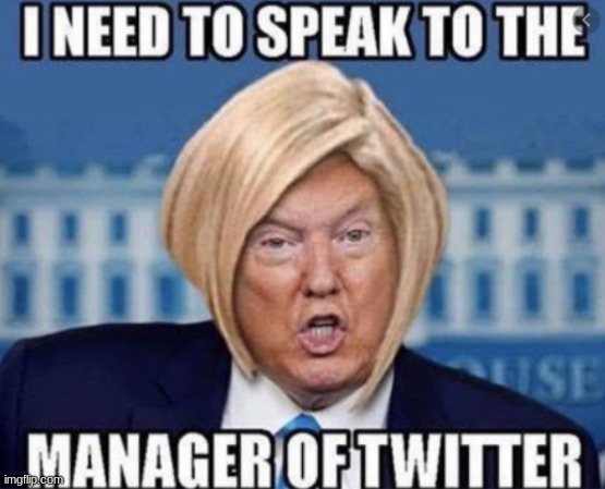 trump | image tagged in memes | made w/ Imgflip meme maker