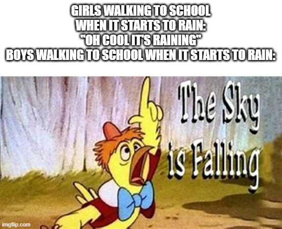 True | GIRLS WALKING TO SCHOOL WHEN IT STARTS TO RAIN:
"OH COOL IT'S RAINING"
BOYS WALKING TO SCHOOL WHEN IT STARTS TO RAIN: | image tagged in memes,the sky is falling | made w/ Imgflip meme maker