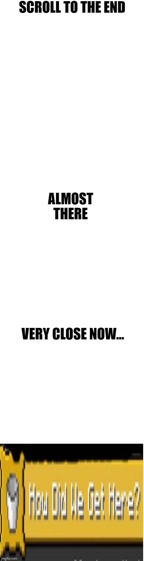 Long blank white |  SCROLL TO THE END; ALMOST THERE; VERY CLOSE NOW... | image tagged in long blank white | made w/ Imgflip meme maker