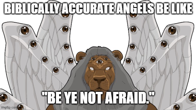  BIBLICALLY ACCURATE ANGELS BE LIKE; "BE YE NOT AFRAID." | image tagged in angels,12 | made w/ Imgflip meme maker