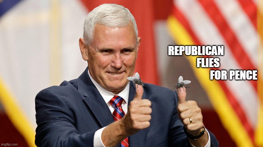 Republican Flies for Pence | REPUBLICAN
            FLIES
                                     FOR PENCE | image tagged in mike pence | made w/ Imgflip meme maker