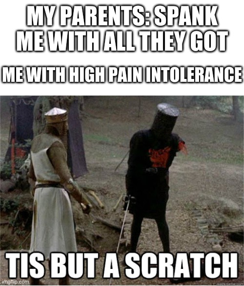 tis but a scratch | MY PARENTS: SPANK ME WITH ALL THEY GOT; ME WITH HIGH PAIN INTOLERANCE | image tagged in tis but a scratch | made w/ Imgflip meme maker