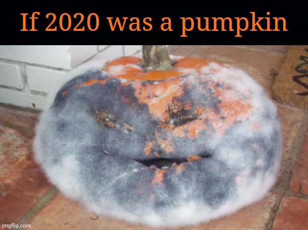 If 2020 was a pumpkin (An old, moldy pumpkin) | If 2020 was a pumpkin | image tagged in memes,meme,2020 sucks,2020,pumpkins,pumpkin | made w/ Imgflip meme maker