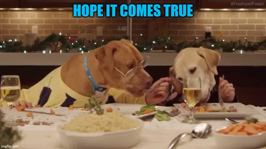 dog dinner | HOPE IT COMES TRUE | image tagged in dog dinner | made w/ Imgflip meme maker