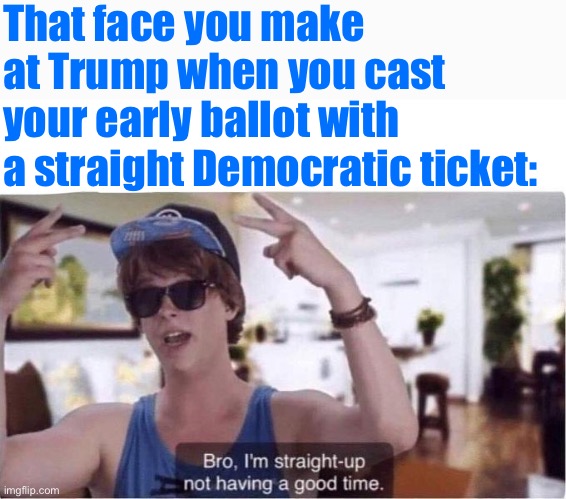 A party that tolerates Trump at its helm gets none of my votes this year and for a very long time to come. | That face you make at Trump when you cast your early ballot with a straight Democratic ticket: | image tagged in bro i m straight-up not having a good time,politics,election 2020,2020 elections,trump is a moron,voting | made w/ Imgflip meme maker