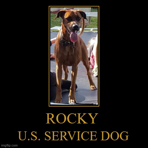 ROCKY Boxer/Doberman | image tagged in funny,demotivationals,rocky,boxer,doberman,dog memes | made w/ Imgflip demotivational maker