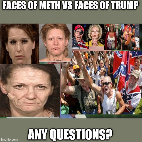 FACES OF TRUMP | FACES OF METH VS FACES OF TRUMP; ANY QUESTIONS? | image tagged in memes,trump,deplorables,politics | made w/ Imgflip meme maker