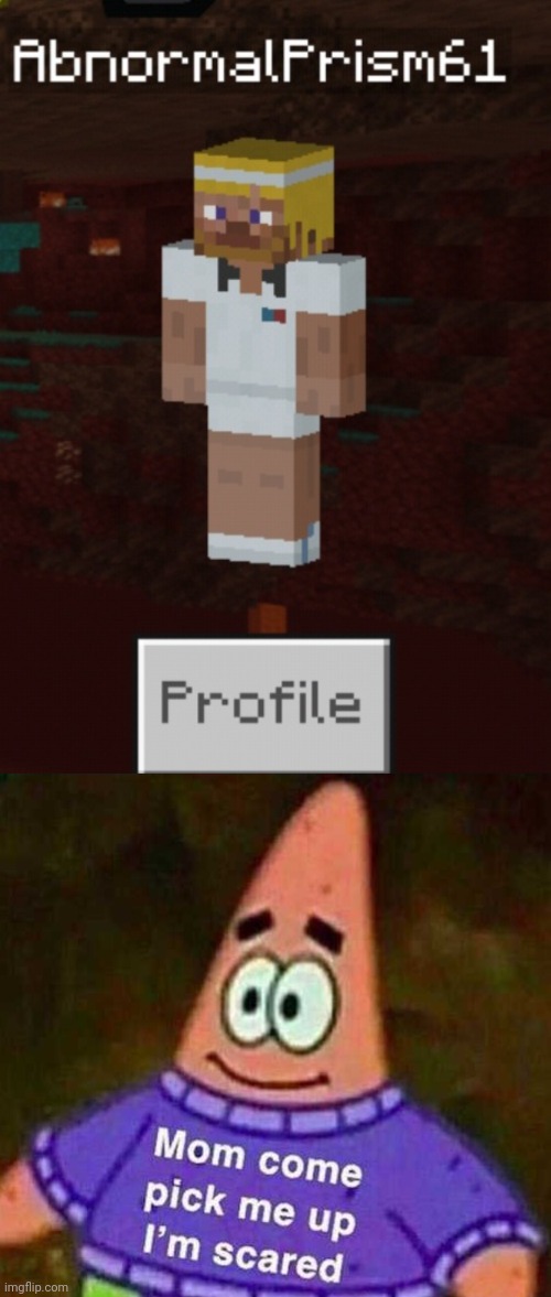 This is my profile XDD | image tagged in minecraft,funny,profile,haha,meme,mommy pick me up im scared | made w/ Imgflip meme maker