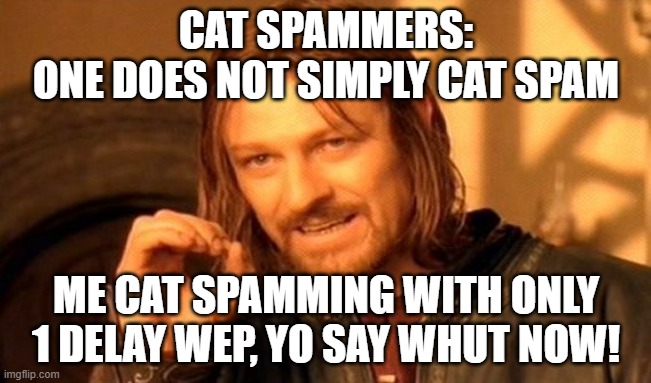 One Does Not Simply Meme | CAT SPAMMERS:
ONE DOES NOT SIMPLY CAT SPAM; ME CAT SPAMMING WITH ONLY 1 DELAY WEP, YO SAY WHUT NOW! | image tagged in memes,one does not simply | made w/ Imgflip meme maker