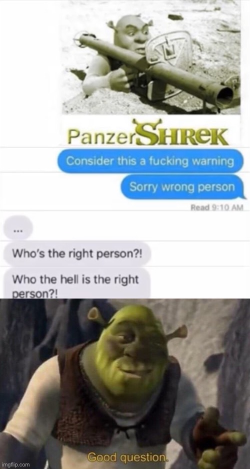 Boiiii | image tagged in shrek good question,funny,memes | made w/ Imgflip meme maker