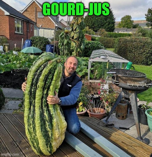 Oh my gourd! | GOURD-JUS | image tagged in big gourd | made w/ Imgflip meme maker