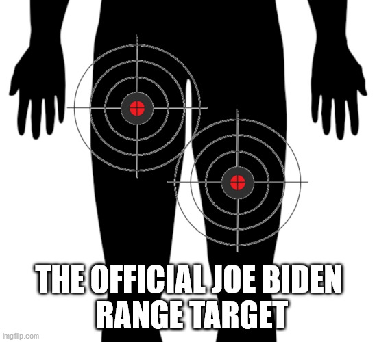 Biden Range Target | THE OFFICIAL JOE BIDEN
 RANGE TARGET | image tagged in joe,biden,range,target | made w/ Imgflip meme maker