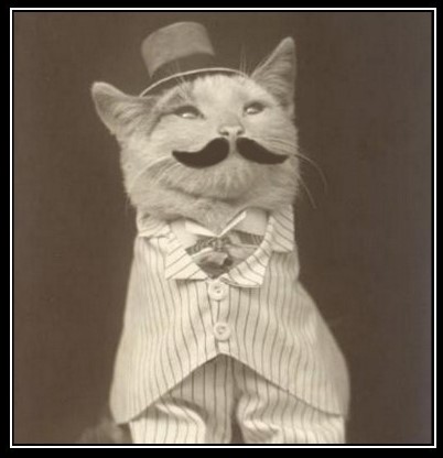 Cat with Mustache and Top Hat Blank Meme Template