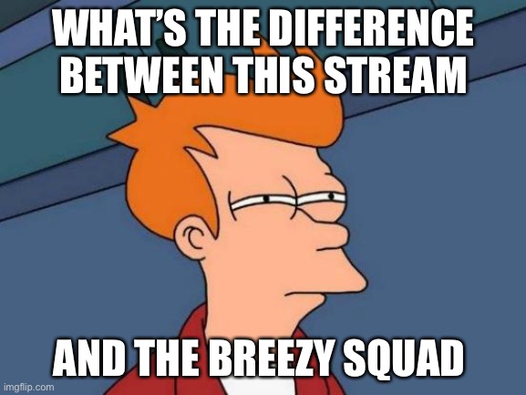 Futurama Fry | WHAT’S THE DIFFERENCE BETWEEN THIS STREAM; AND THE BREEZY SQUAD | image tagged in memes,futurama fry | made w/ Imgflip meme maker