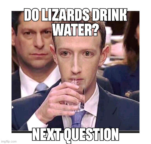 Lizardbook | image tagged in facebook,mark zuckerberg,technology | made w/ Imgflip meme maker