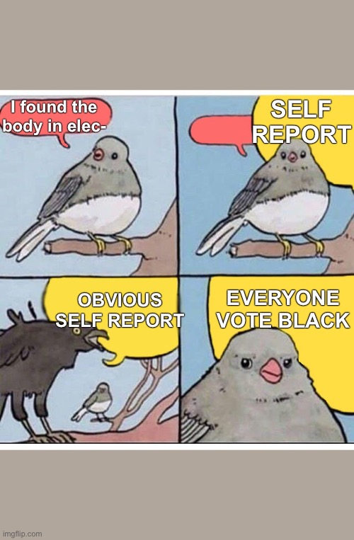 annoyed bird | SELF REPORT; I found the body in elec-; EVERYONE VOTE BLACK; OBVIOUS SELF REPORT | image tagged in annoyed bird,AmongUs | made w/ Imgflip meme maker