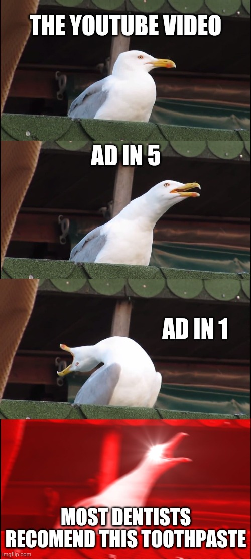 Ads | THE YOUTUBE VIDEO; AD IN 5; AD IN 1; MOST DENTISTS RECOMEND THIS TOOTHPASTE | image tagged in memes,inhaling seagull | made w/ Imgflip meme maker
